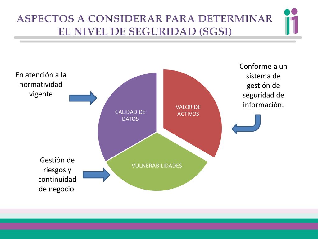 ASPECTOS A CONSIDERAR PARA DETERMINAR EL NIVEL DE SEGURIDAD (SGSI)