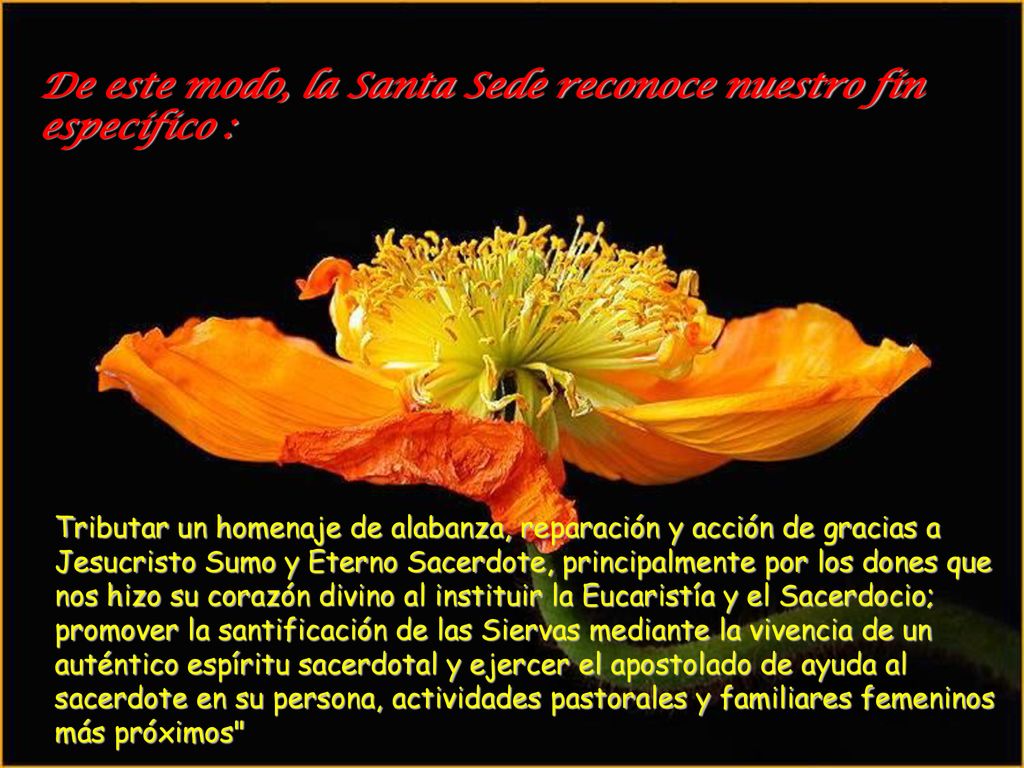 De este modo, la Santa Sede reconoce nuestro fin especifico :