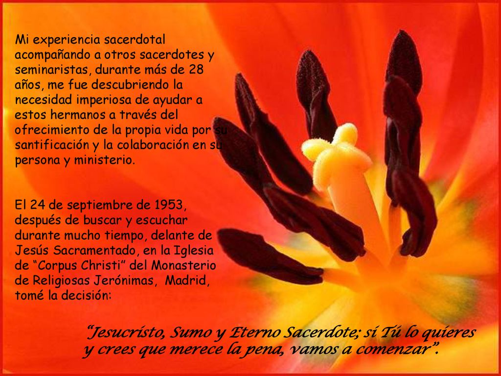 Mi experiencia sacerdotal acompañando a otros sacerdotes y seminaristas, durante más de 28 años, me fue descubriendo la necesidad imperiosa de ayudar a estos hermanos a través del ofrecimiento de la propia vida por su santificación y la colaboración en su persona y ministerio.