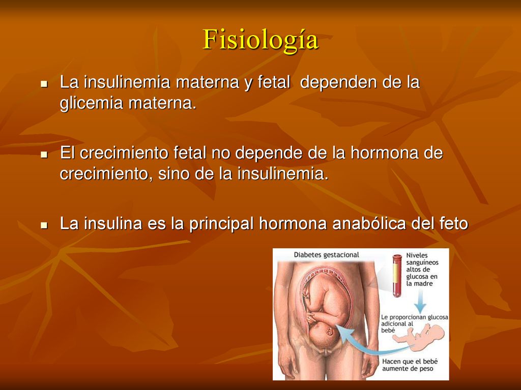 Fisiología La insulinemia materna y fetal dependen de la glicemia materna.