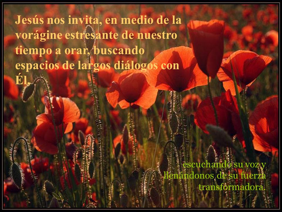 Jesús nos invita, en medio de la vorágine estresante de nuestro tiempo a orar, buscando espacios de largos diálogos con Él,