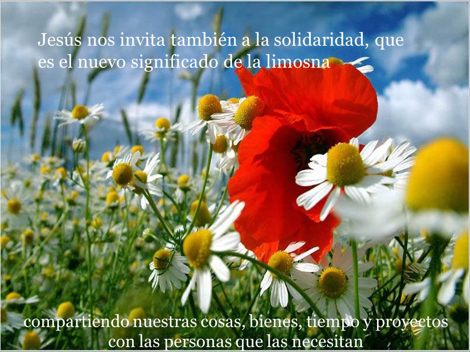 Jesús nos invita también a la solidaridad, que es el nuevo significado de la limosna