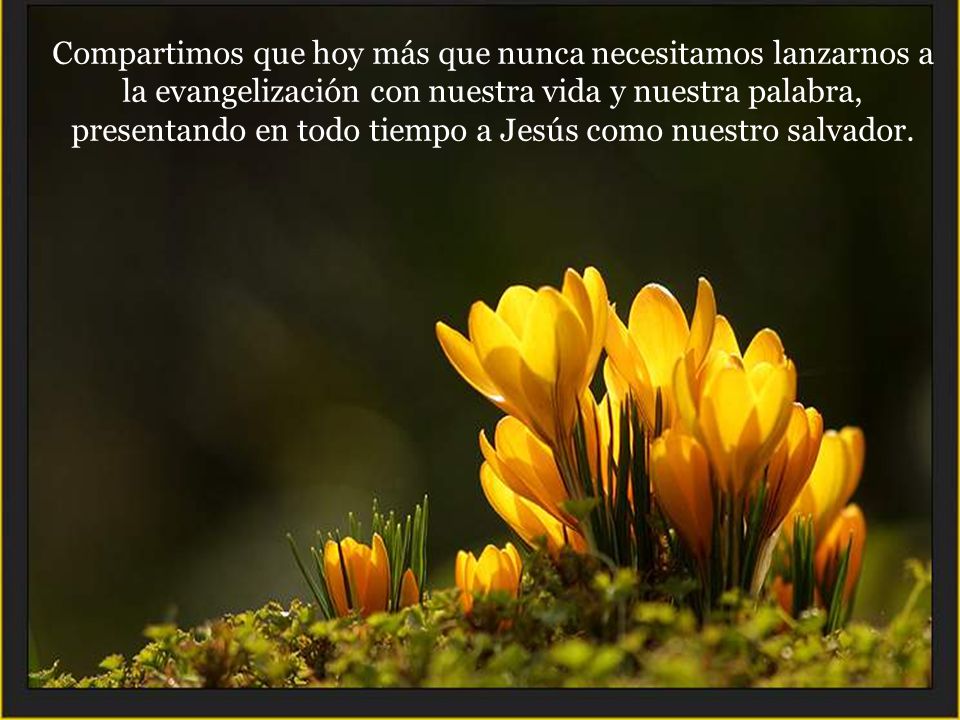 Compartimos que hoy más que nunca necesitamos lanzarnos a la evangelización con nuestra vida y nuestra palabra, presentando en todo tiempo a Jesús como nuestro salvador.