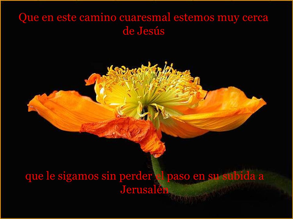 Que en este camino cuaresmal estemos muy cerca de Jesús