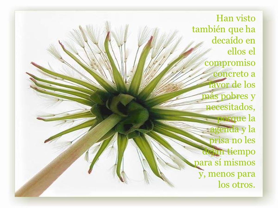 Han visto también que ha decaído en ellos el compromiso concreto a favor de los más pobres y necesitados, porque la agenda y la prisa no les dejan tiempo para sí mismos y, menos para los otros.