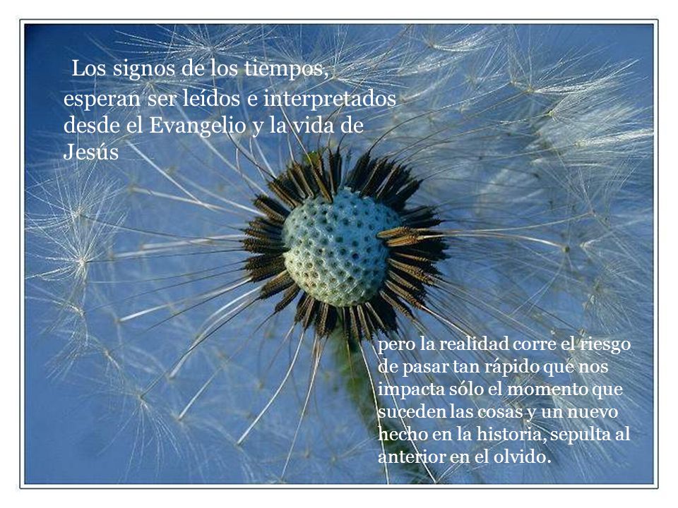Los signos de los tiempos, esperan ser leídos e interpretados desde el Evangelio y la vida de Jesús