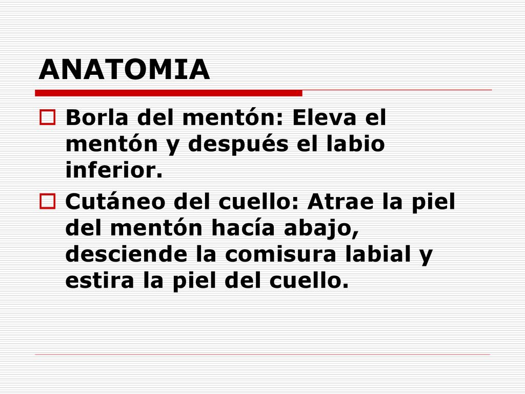 ANATOMIA Borla del mentón: Eleva el mentón y después el labio inferior.