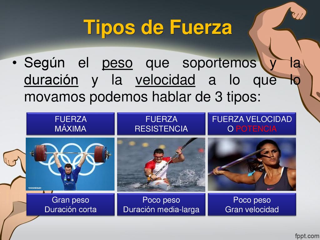 Tipos de Fuerza Según el peso que soportemos y la duración y la velocidad a lo que lo movamos podemos hablar de 3 tipos: