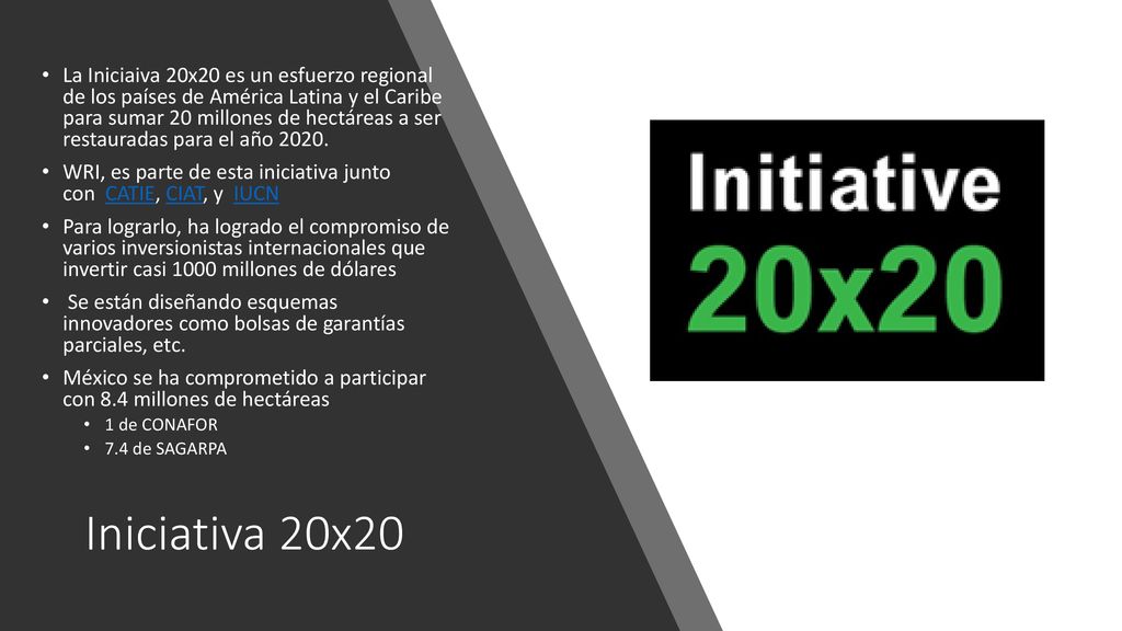 La Iniciaiva 20x20 es un esfuerzo regional de los países de América Latina y el Caribe para sumar 20 millones de hectáreas a ser restauradas para el año 2020.
