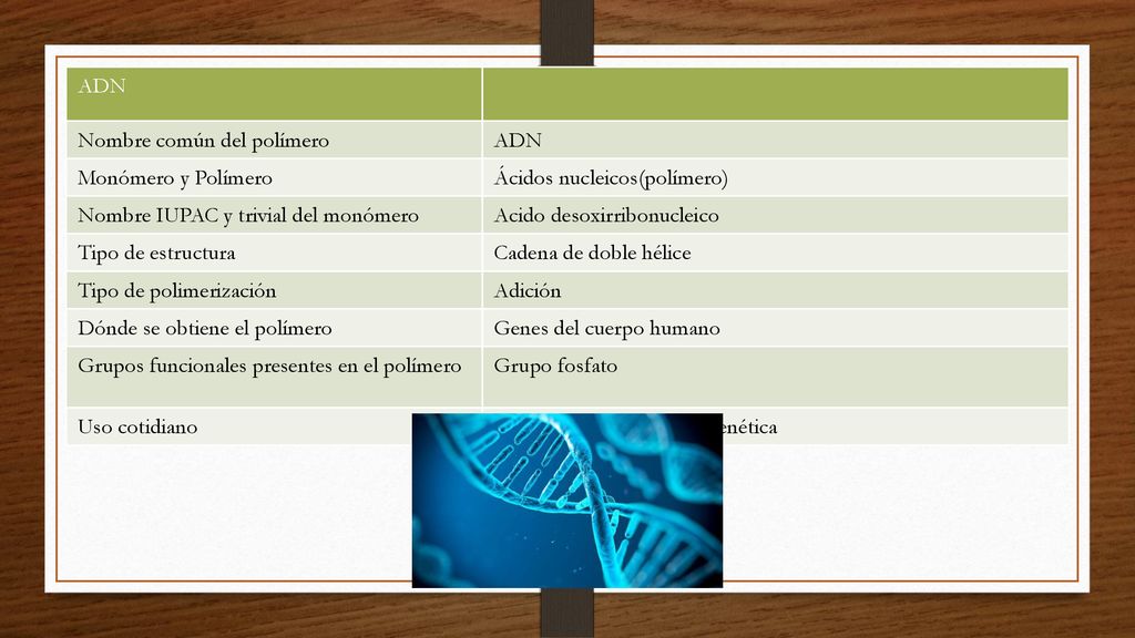 ADN Nombre común del polímero. Monómero y Polímero. Ácidos nucleicos(polímero) Nombre IUPAC y trivial del monómero.