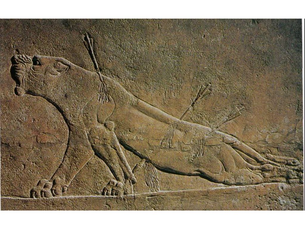 Leona herida. Friso sobre alabastro yesoso del palacio de Asurbanipal en Nínive. Asirio. 650 a. C.