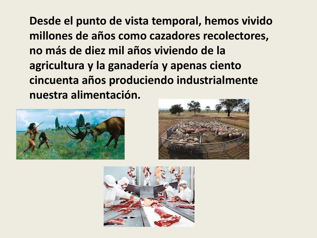Desde el punto de vista temporal, hemos vivido millones de años como cazadores recolectores, no más de diez mil años viviendo de la agricultura y la ganadería y apenas ciento cincuenta años produciendo industrialmente nuestra alimentación.