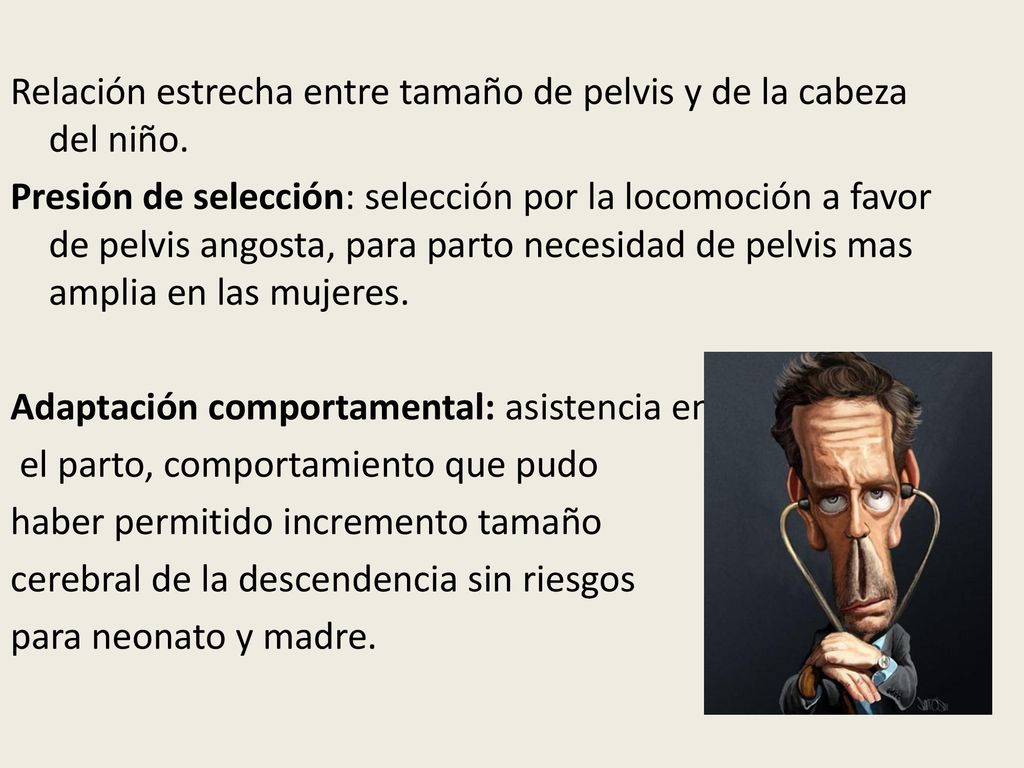 Relación estrecha entre tamaño de pelvis y de la cabeza del niño.
