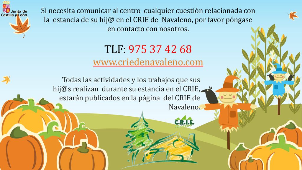 Si necesita comunicar al centro cualquier cuestión relacionada con la estancia de su en el CRIE de Navaleno, por favor póngase en contacto con nosotros. TLF:
