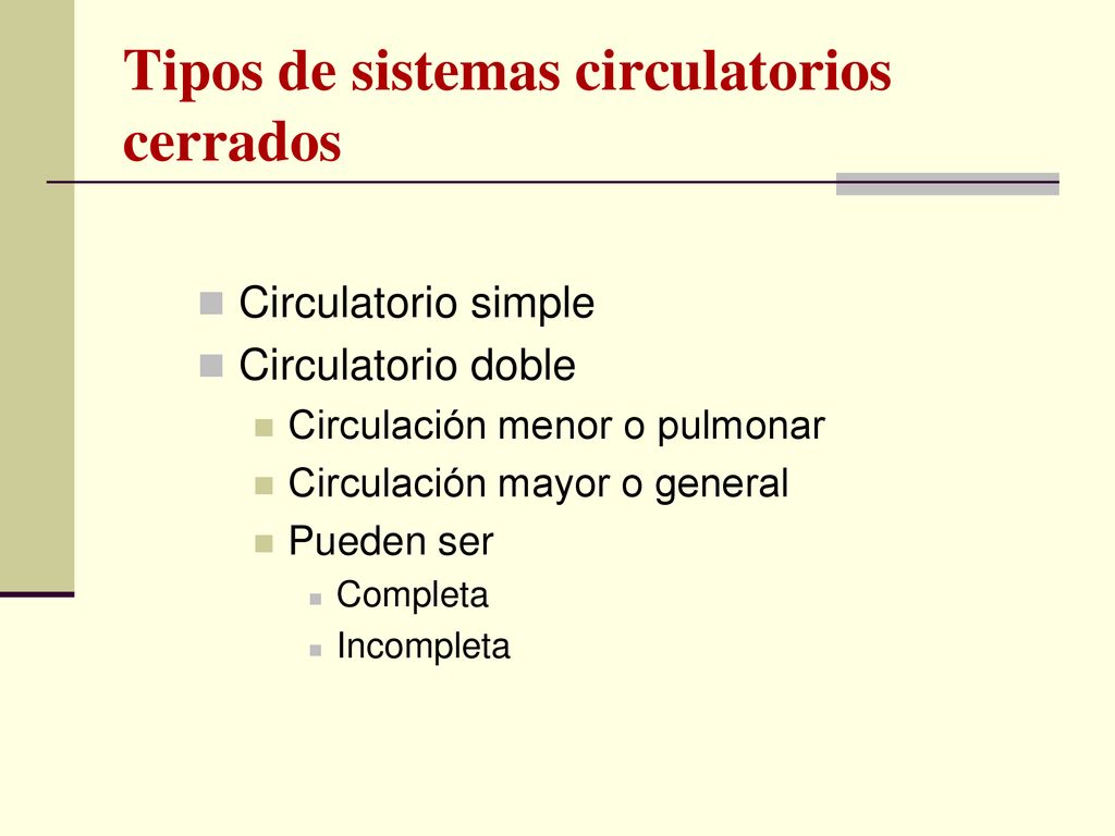 Tipos de sistemas circulatorios cerrados