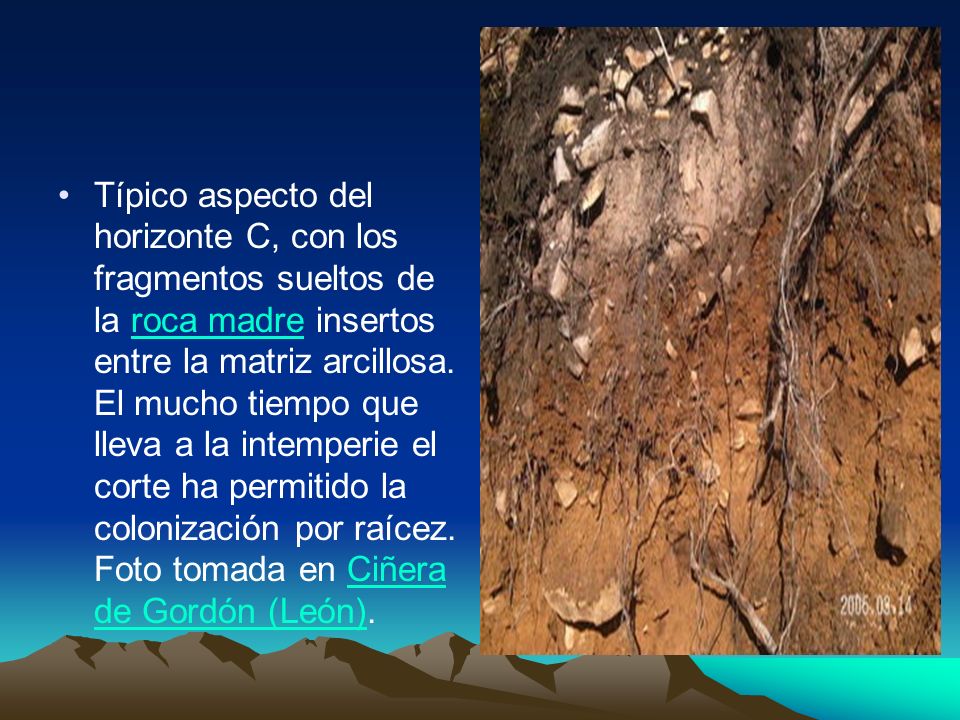 Típico aspecto del horizonte C, con los fragmentos sueltos de la roca madre insertos entre la matriz arcillosa.