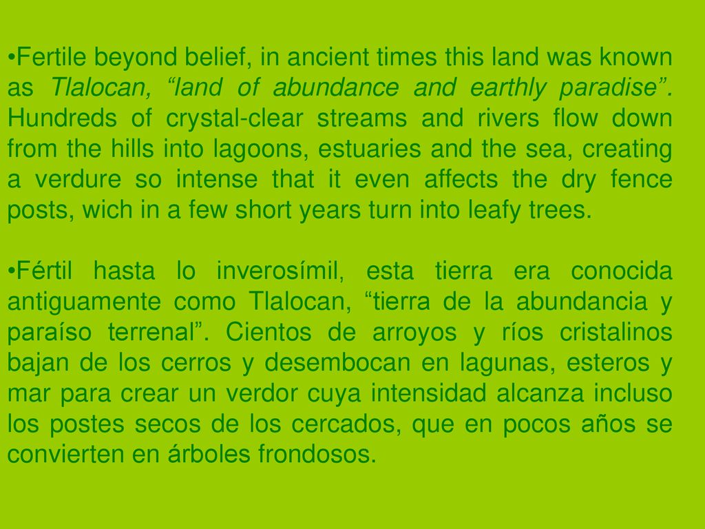 Fertile beyond belief, in ancient times this land was known as Tlalocan, land of abundance and earthly paradise . Hundreds of crystal-clear streams and rivers flow down from the hills into lagoons, estuaries and the sea, creating a verdure so intense that it even affects the dry fence posts, wich in a few short years turn into leafy trees.