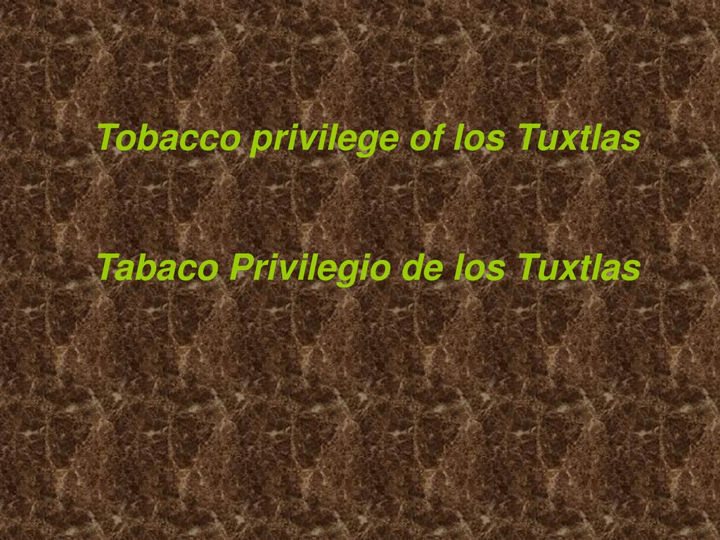 Tobacco privilege of los Tuxtlas Tabaco Privilegio de los Tuxtlas