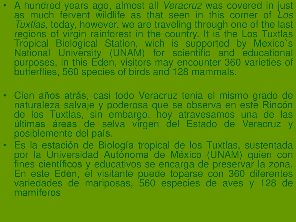 A hundred years ago, almost all Veracruz was covered in just as much fervent wildlife as that seen in this corner of Los Tuxtlas, today, however, we are traveling through one of the last regions of virgin rainforest in the country. It is the Los Tuxtlas Tropical Biological Station, wich is supported by Mexico`s National University (UNAM) for scientific and educational purposes, in this Eden, visitors may encounter 360 varieties of butterflies, 560 species of birds and 128 mammals.