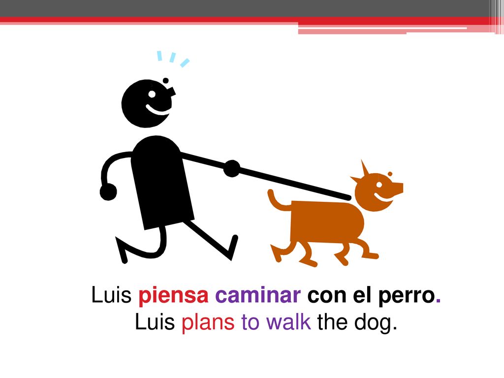 Luis piensa caminar con el perro. Luis plans to walk the dog.