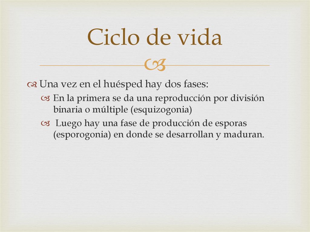 Ciclo de vida Una vez en el huésped hay dos fases: