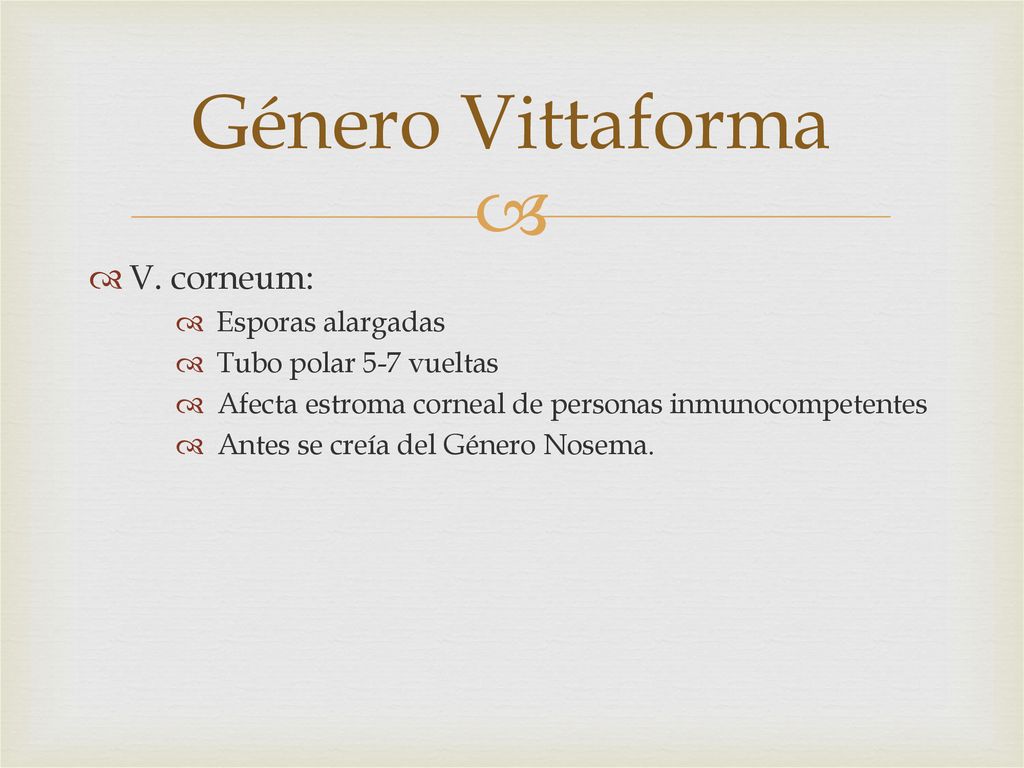 Género Vittaforma V. corneum: Esporas alargadas Tubo polar 5-7 vueltas