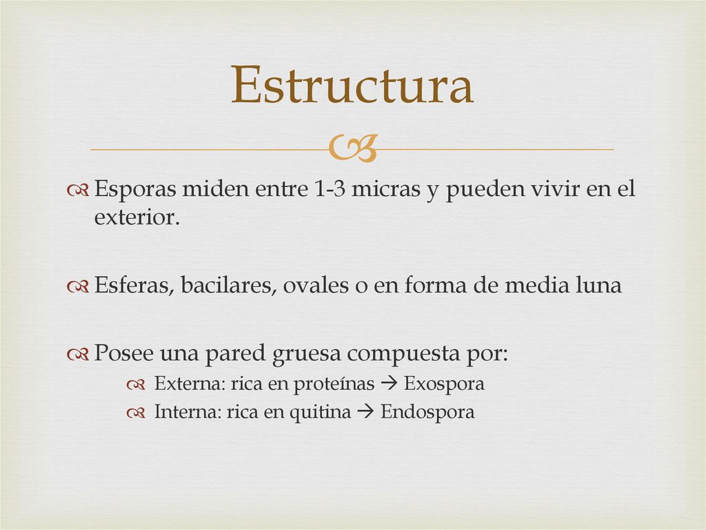 Estructura Esporas miden entre 1-3 micras y pueden vivir en el exterior. Esferas, bacilares, ovales o en forma de media luna.
