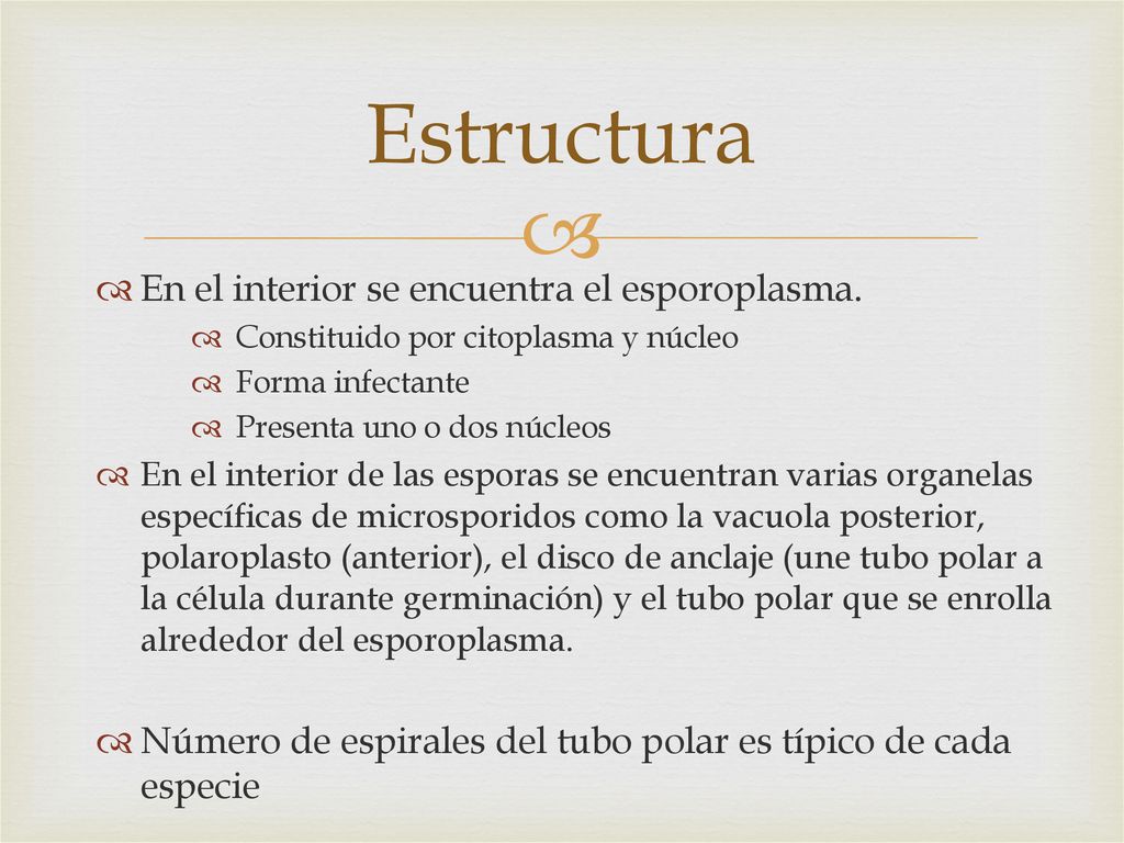 Estructura En el interior se encuentra el esporoplasma.