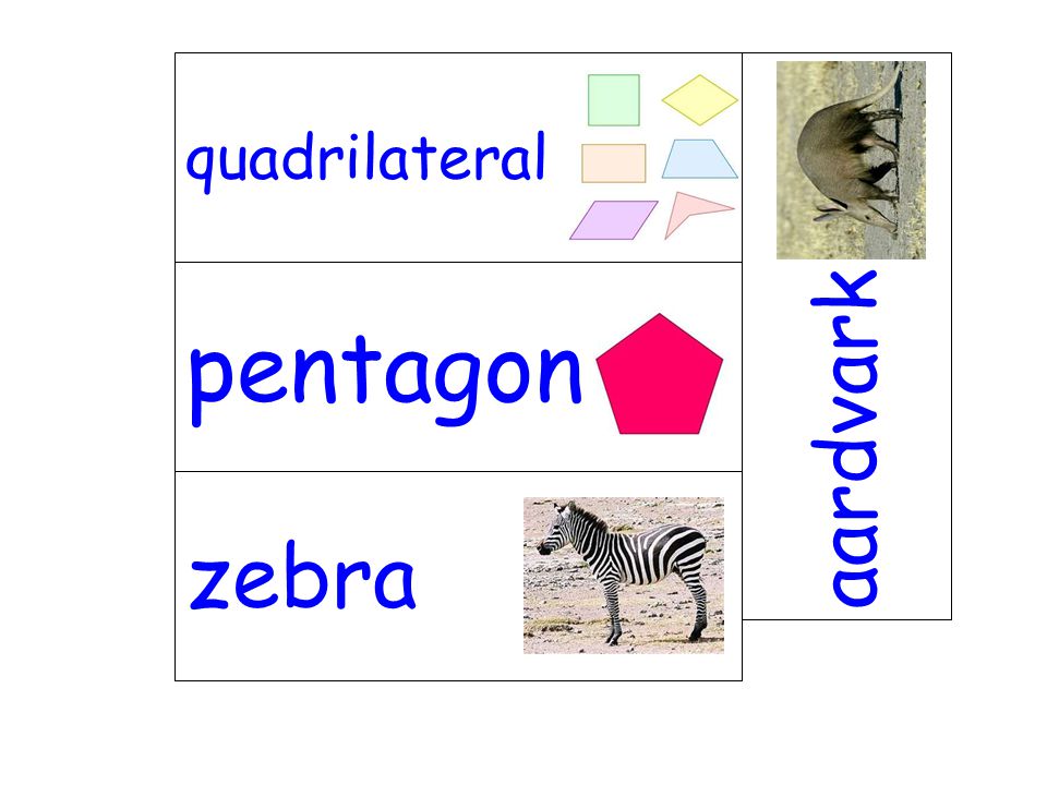 quadrilateral aardvark pentagon zebra