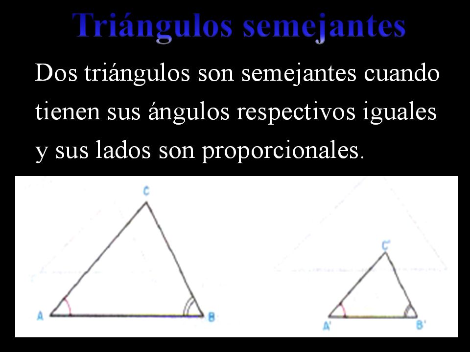 Triángulos semejantes