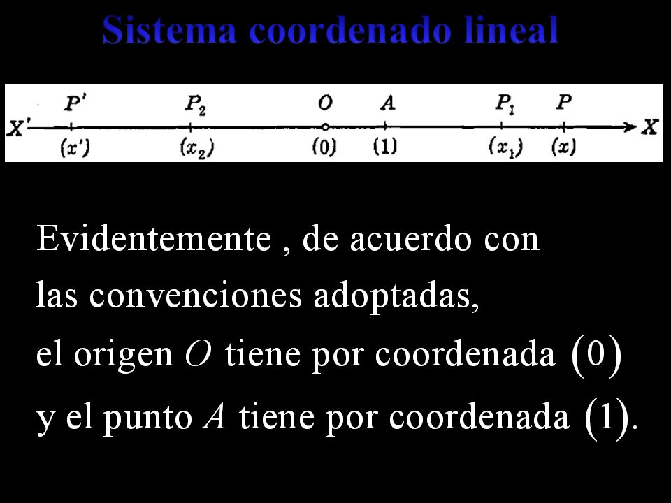 Sistema coordenado lineal