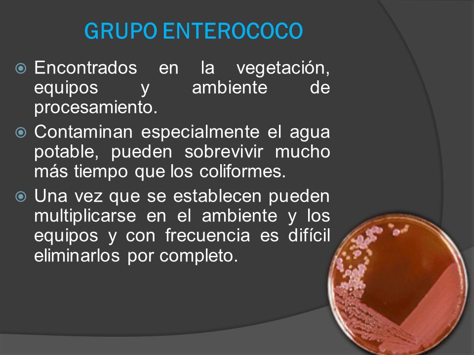 GRUPO ENTEROCOCO Encontrados en la vegetación, equipos y ambiente de procesamiento.