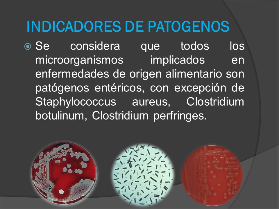 INDICADORES DE PATOGENOS