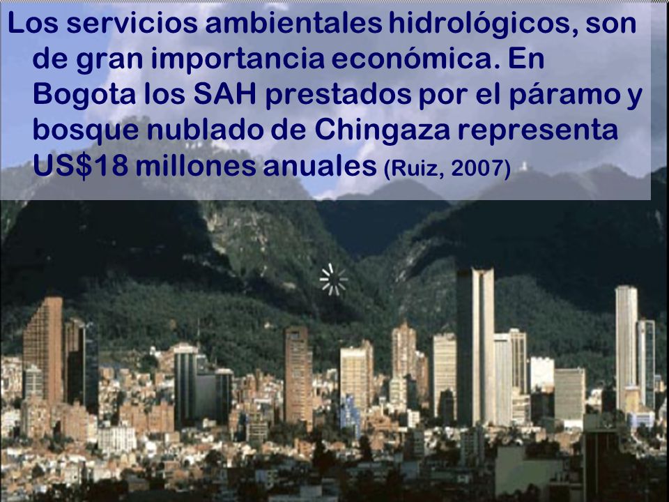 Los servicios ambientales hidrológicos, son de gran importancia económica.