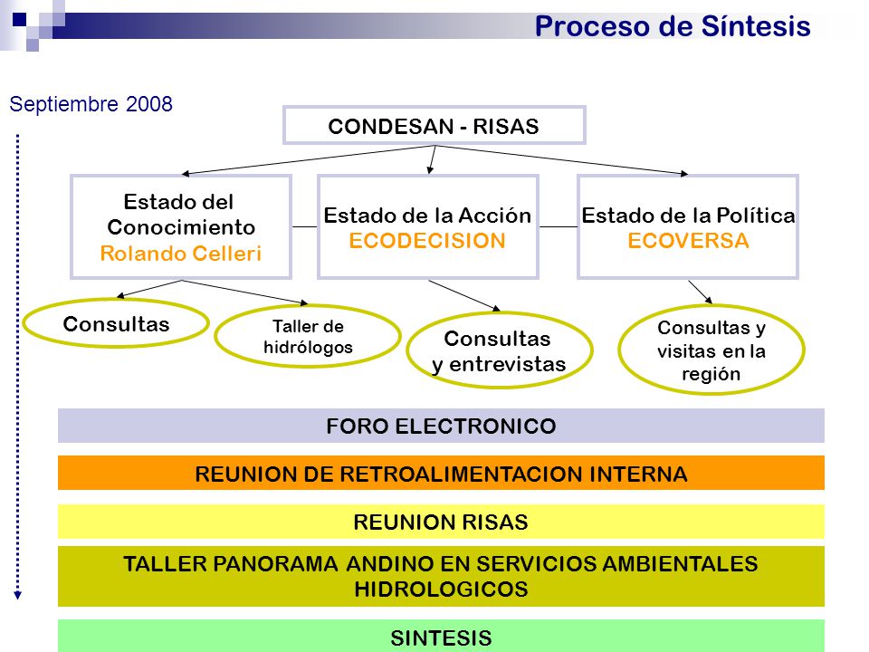 Proceso de Síntesis Septiembre 2008 CONDESAN - RISAS Estado del