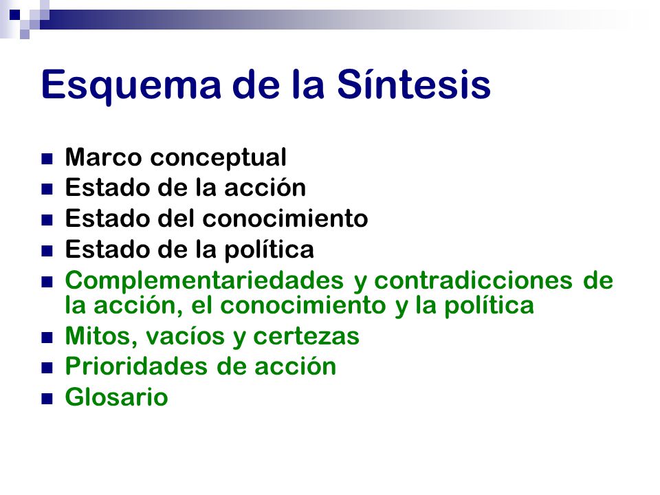 Esquema de la Síntesis Marco conceptual Estado de la acción