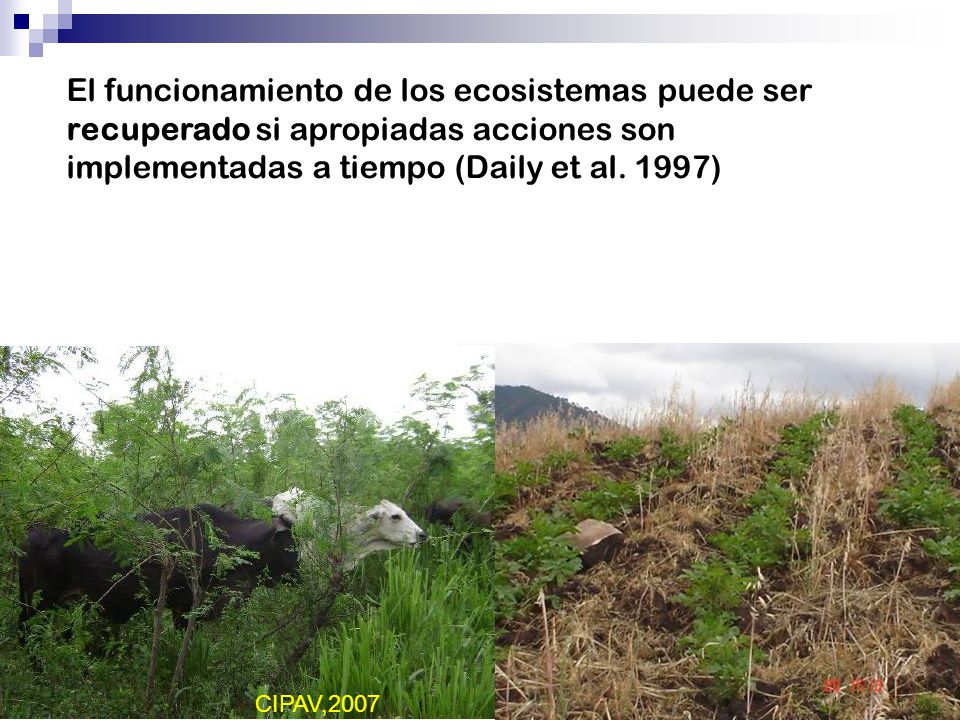 El funcionamiento de los ecosistemas puede ser recuperado si apropiadas acciones son implementadas a tiempo (Daily et al. 1997)