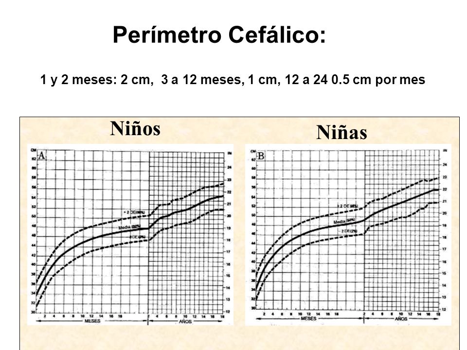 1 y 2 meses: 2 cm, 3 a 12 meses, 1 cm, 12 a cm por mes