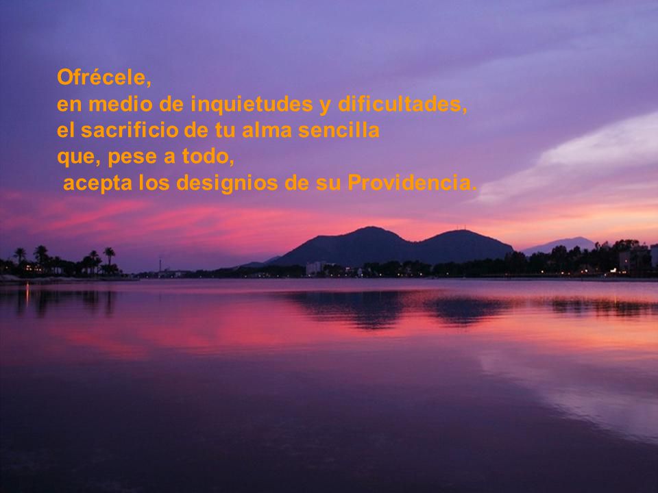 Ofrécele, en medio de inquietudes y dificultades, el sacrificio de tu alma sencilla. que, pese a todo,