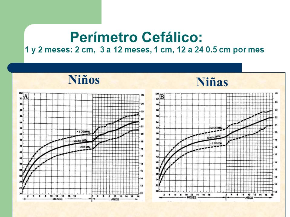 Perímetro Cefálico: 1 y 2 meses: 2 cm, 3 a 12 meses, 1 cm, 12 a 24 0