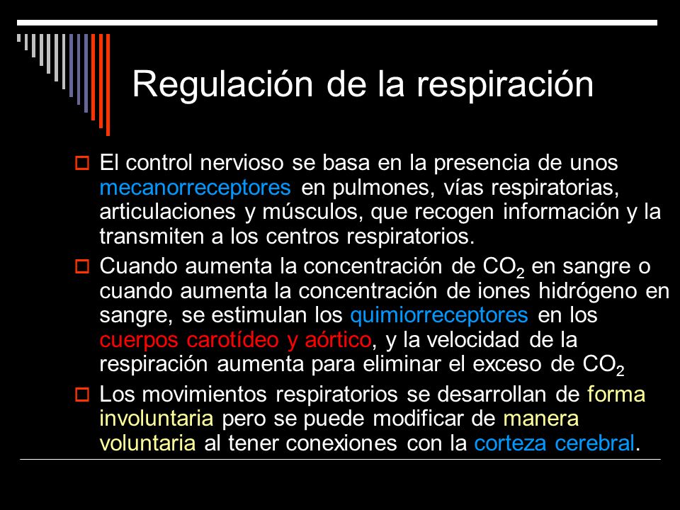 Regulación de la respiración