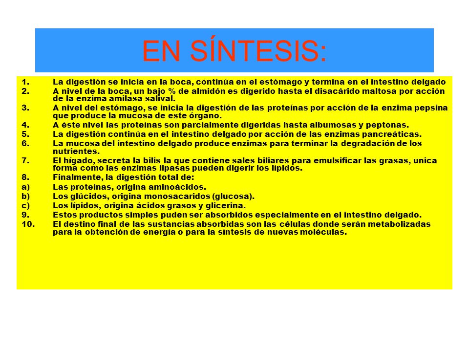 EN SÍNTESIS: La digestión se inicia en la boca, continúa en el estómago y termina en el intestino delgado.