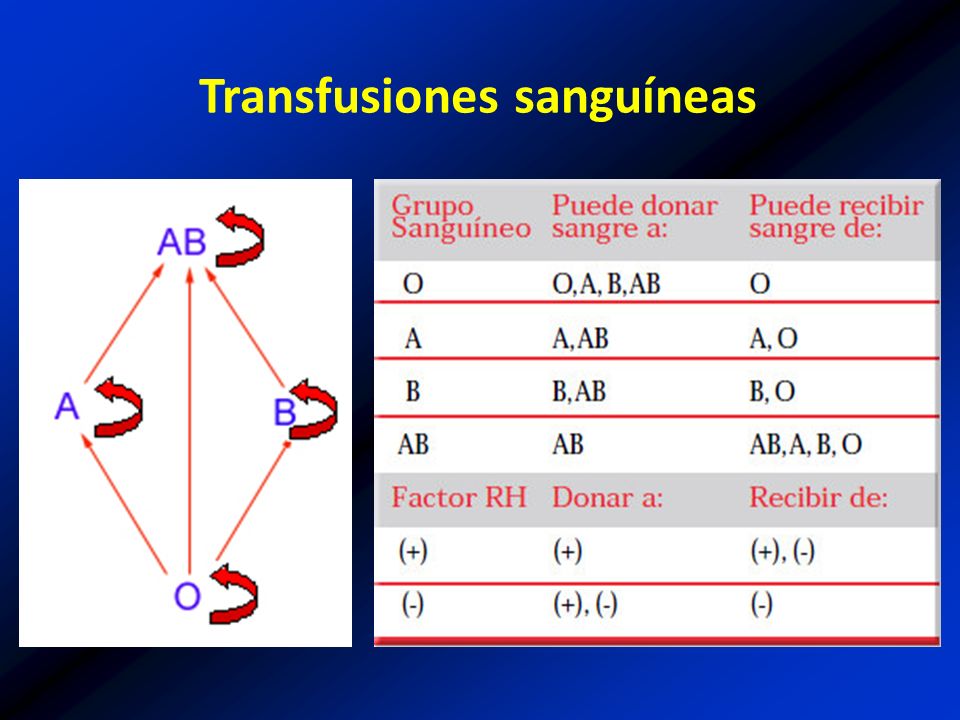 Transfusiones sanguíneas