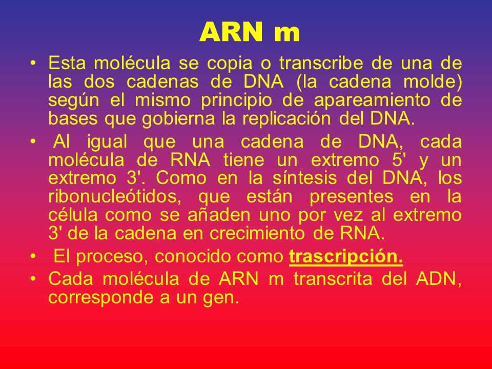 ARN m