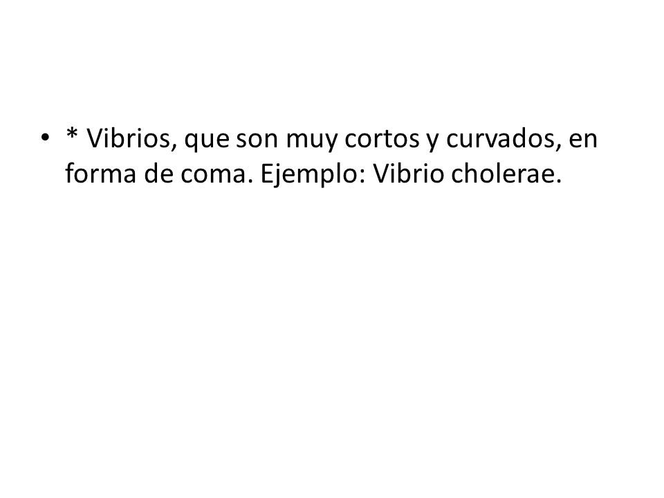 Vibrios, que son muy cortos y curvados, en forma de coma