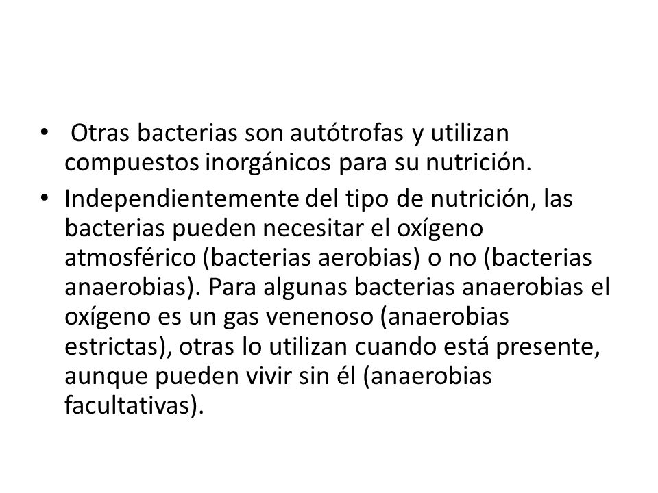 Otras bacterias son autótrofas y utilizan compuestos inorgánicos para su nutrición.