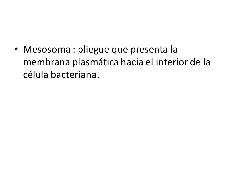 Mesosoma : pliegue que presenta la membrana plasmática hacia el interior de la célula bacteriana.