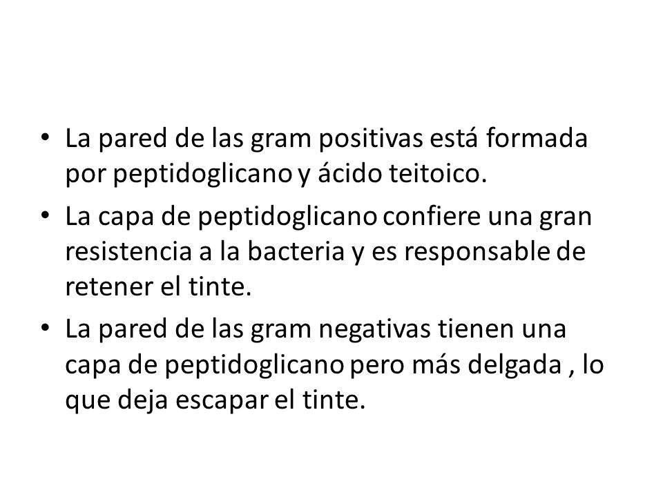 La pared de las gram positivas está formada por peptidoglicano y ácido teitoico.