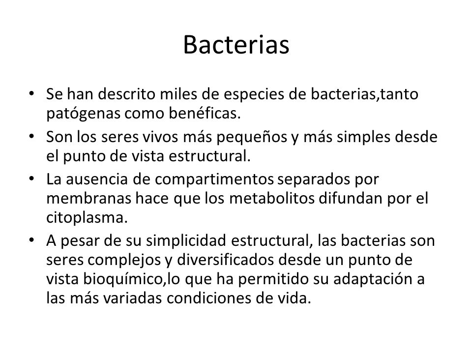 Bacterias Se han descrito miles de especies de bacterias,tanto patógenas como benéficas.