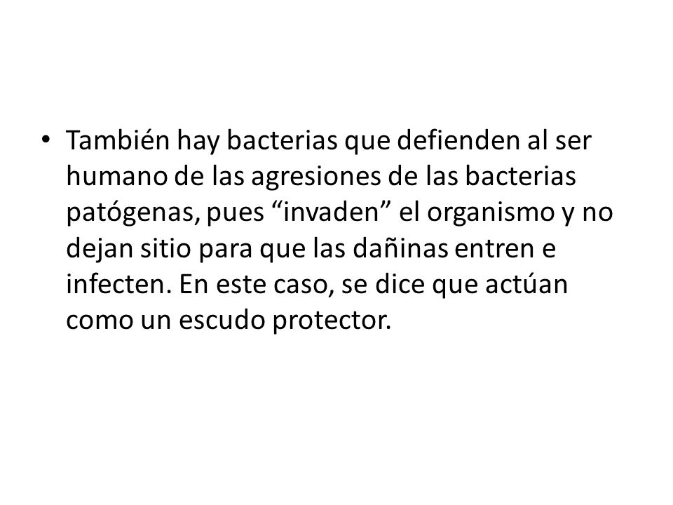También hay bacterias que defienden al ser humano de las agresiones de las bacterias patógenas, pues invaden el organismo y no dejan sitio para que las dañinas entren e infecten.